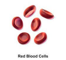 anemia