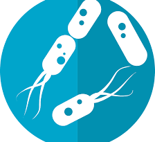 microbiome